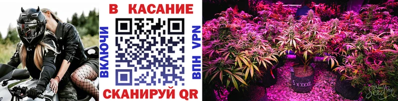 Виды наркотиков купить Богородск Галлюциногенные грибы  ссылка на мегу рабочий сайт  Меф  Гашиш  Кокаин  Марихуана 